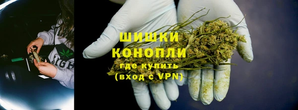 ПСИЛОЦИБИНОВЫЕ ГРИБЫ Каменка