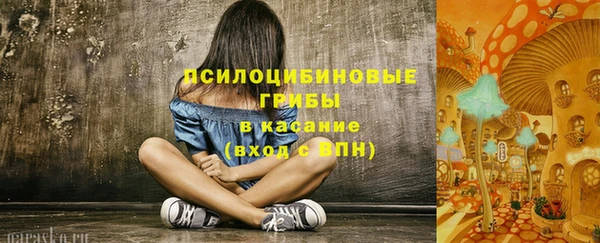 ПСИЛОЦИБИНОВЫЕ ГРИБЫ Каменка