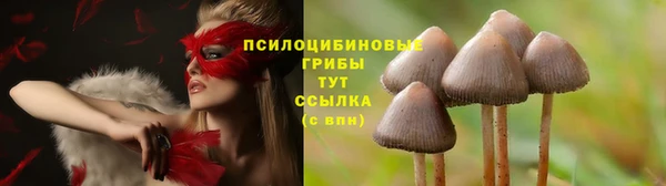 ПСИЛОЦИБИНОВЫЕ ГРИБЫ Каменка