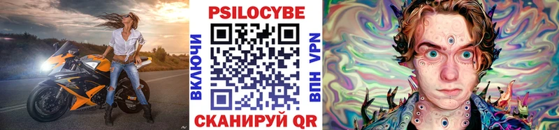Купить где  Буйнакск  Галлюциногенные грибы Psilocybine cubensis 